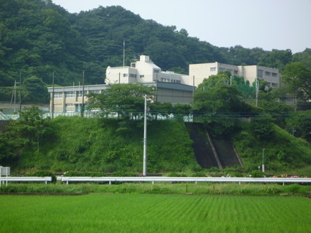 P1000993