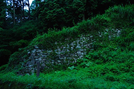 1107120621_DSC_5206