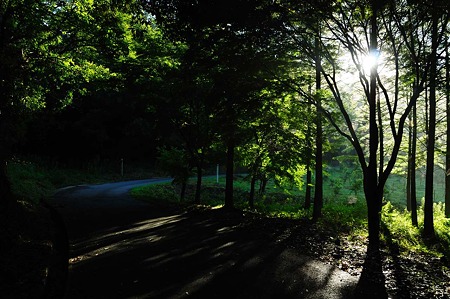 1107120640_DSC_5236