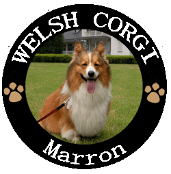 sticker_maron_2_s1