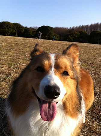 写真 3