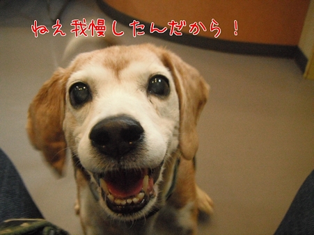 ねえ我慢したんだから