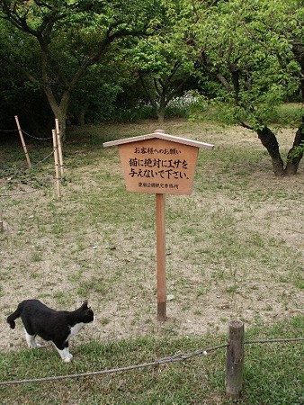 高札とハナクロ