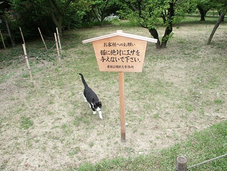 高札とハナシロ