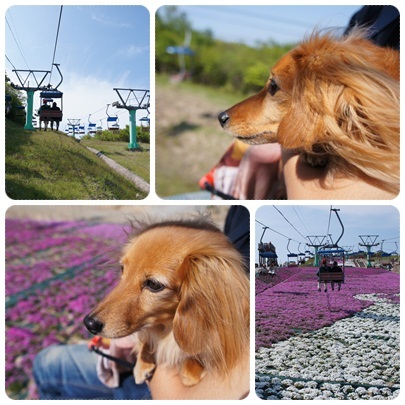 20120528 リフトに乗って♪