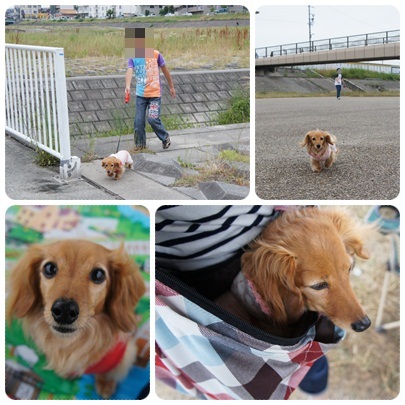 20120609 BBQ1