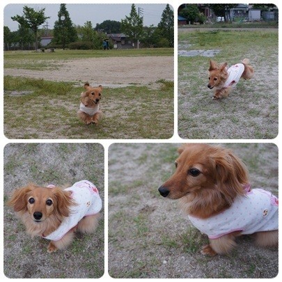 20120618 お散歩