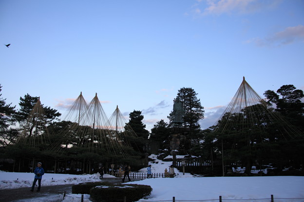 日本武尊の像と松の雪つり　　兼六園
