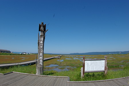 IMGP3021