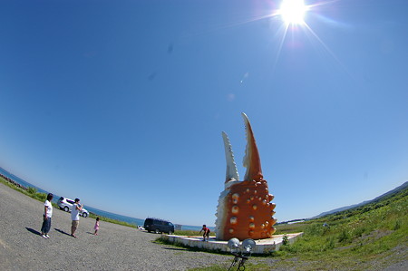 IMGP2929