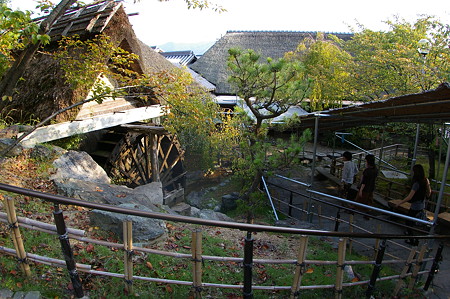 IMGP4298
