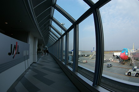 IMGP5514