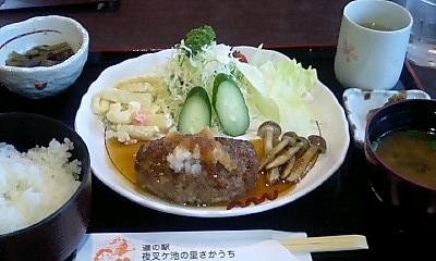 ダチョウハンバーグ