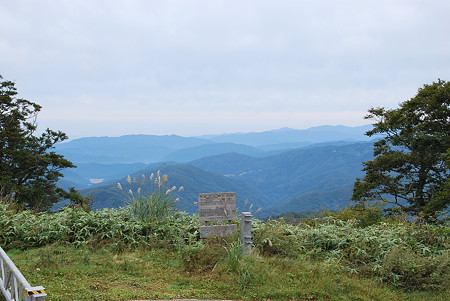 冠山林道 峠3