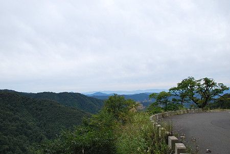 冠山林道 福井側2