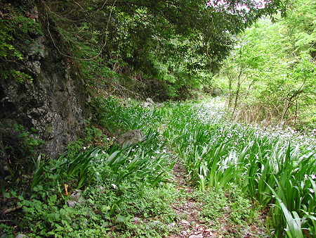 DSCN0328