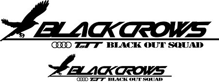 Black CROWS