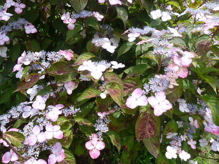 20120617_