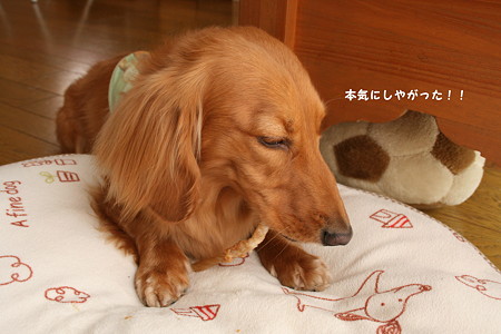 東矢4