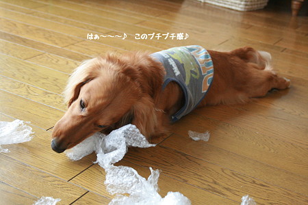 プチプチ2
