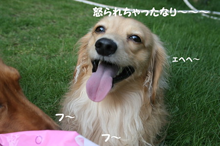 ビーチボール 6