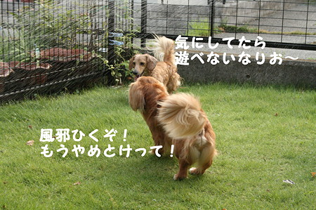 水遊び 4