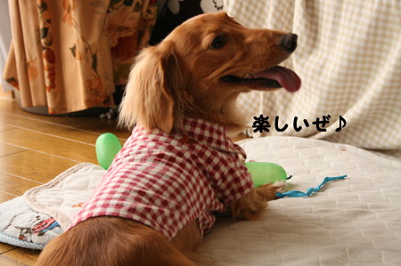 東矢くんの好きな物 7