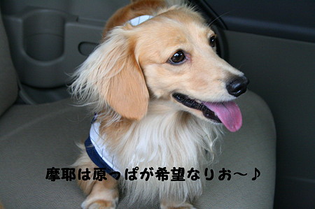 タント6