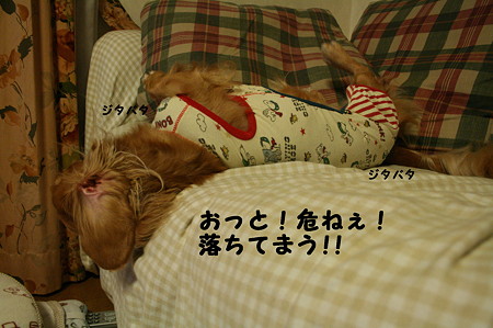 眠れない 8