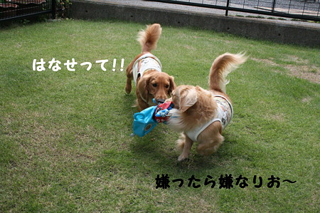 だっこちゃん 2