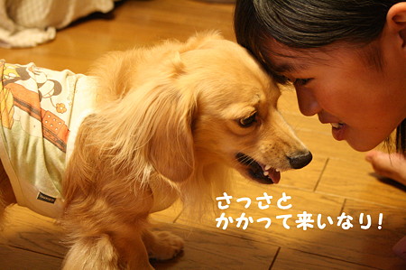 怖いよ!摩耶さん2