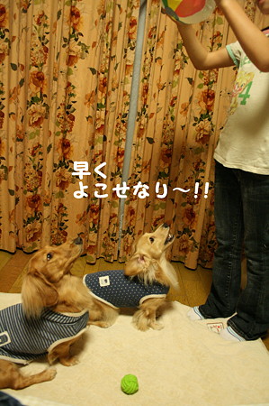 紙風船2