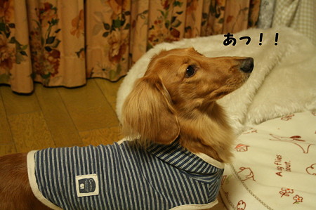 東矢くん