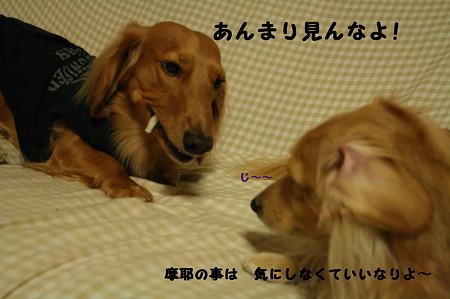 おやつ 5