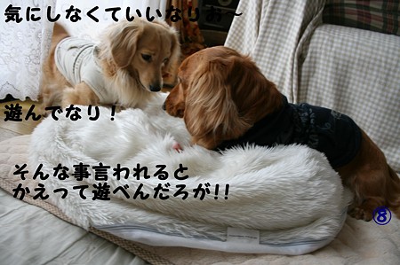 東矢くんと摩耶さん8