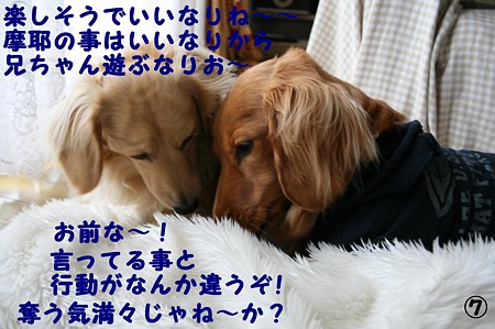 東矢くんと摩耶さん7
