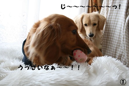 東矢くんと摩耶さん1