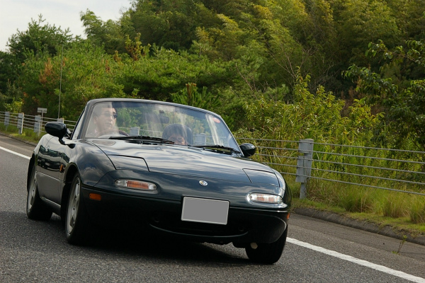 トリミングしていますが、なかなかよく撮れています。