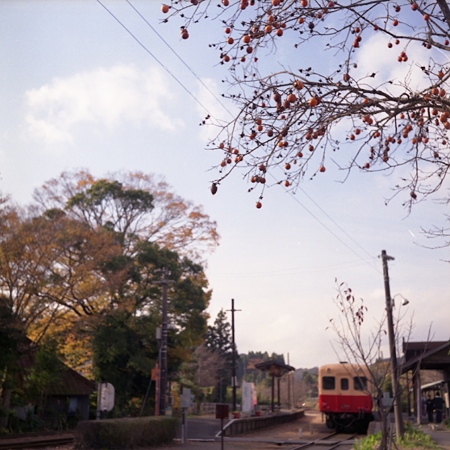 autocordlmx_10_04_01.resize