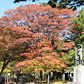 平和公園・紅葉と銅像02-11.10.20