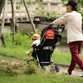 Photos: 合浦公園・乳母車で散歩01-12.07.04